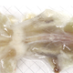 Illustration for article titled Scientists Made This Entire Mouse Transparent Using Detergent